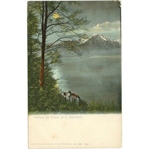 Schloss Chillon und Le Grammont, Montreux, die Schweiz Postkarte