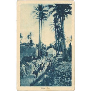 Cartolina della Libia del 1939 – Scena dell'oasi