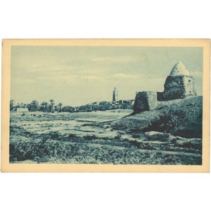 Témacine, Algeria - Route de Tamelhalt Cartolina Inizio XX secolo