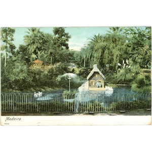 Madère, Portugal - Bassin de jardin avec maison miniature - Carte postale