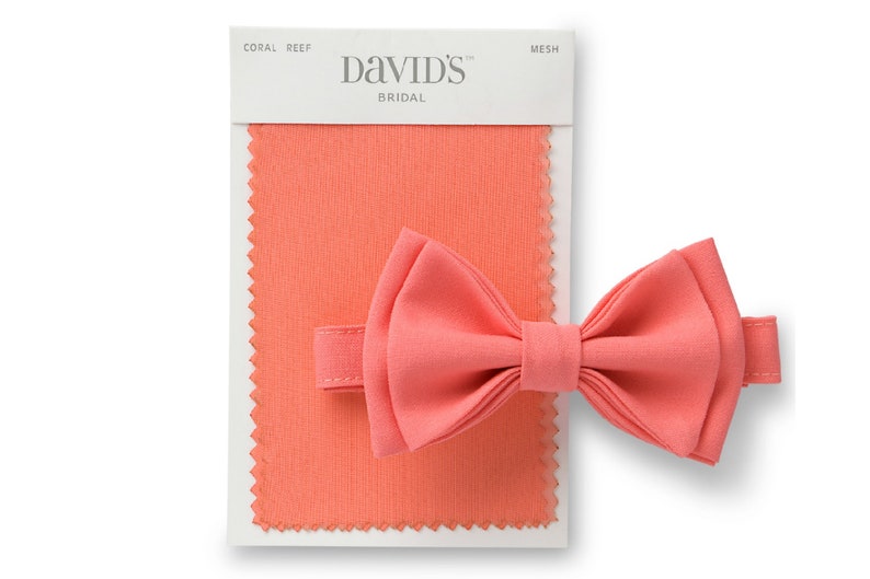 mens coral bow ties