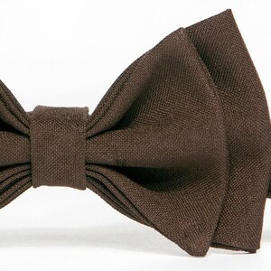 Brown bow tie