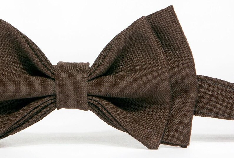 Brown bow tie