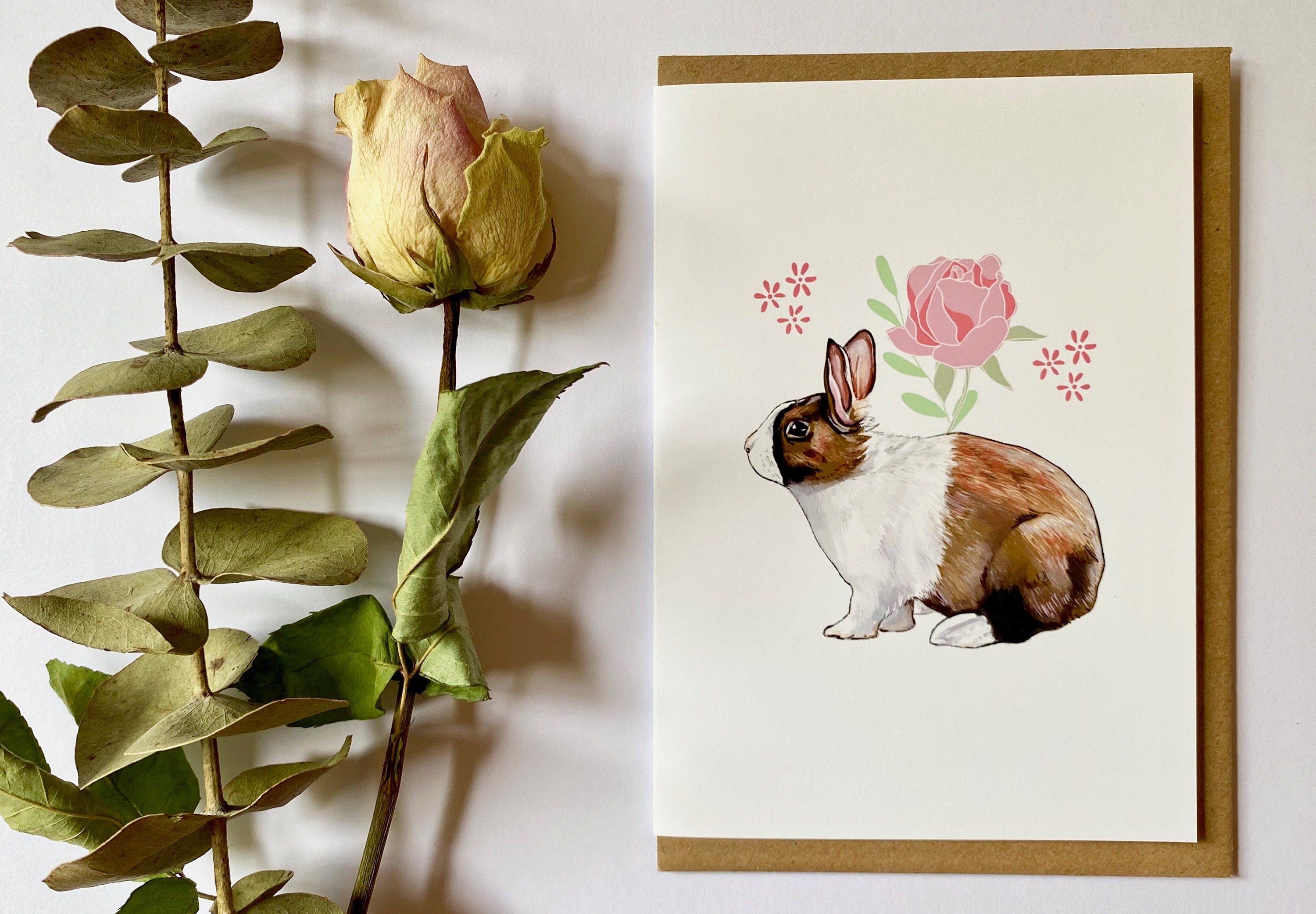 Rabbit Greeting Cards Set of 4 - Etsy