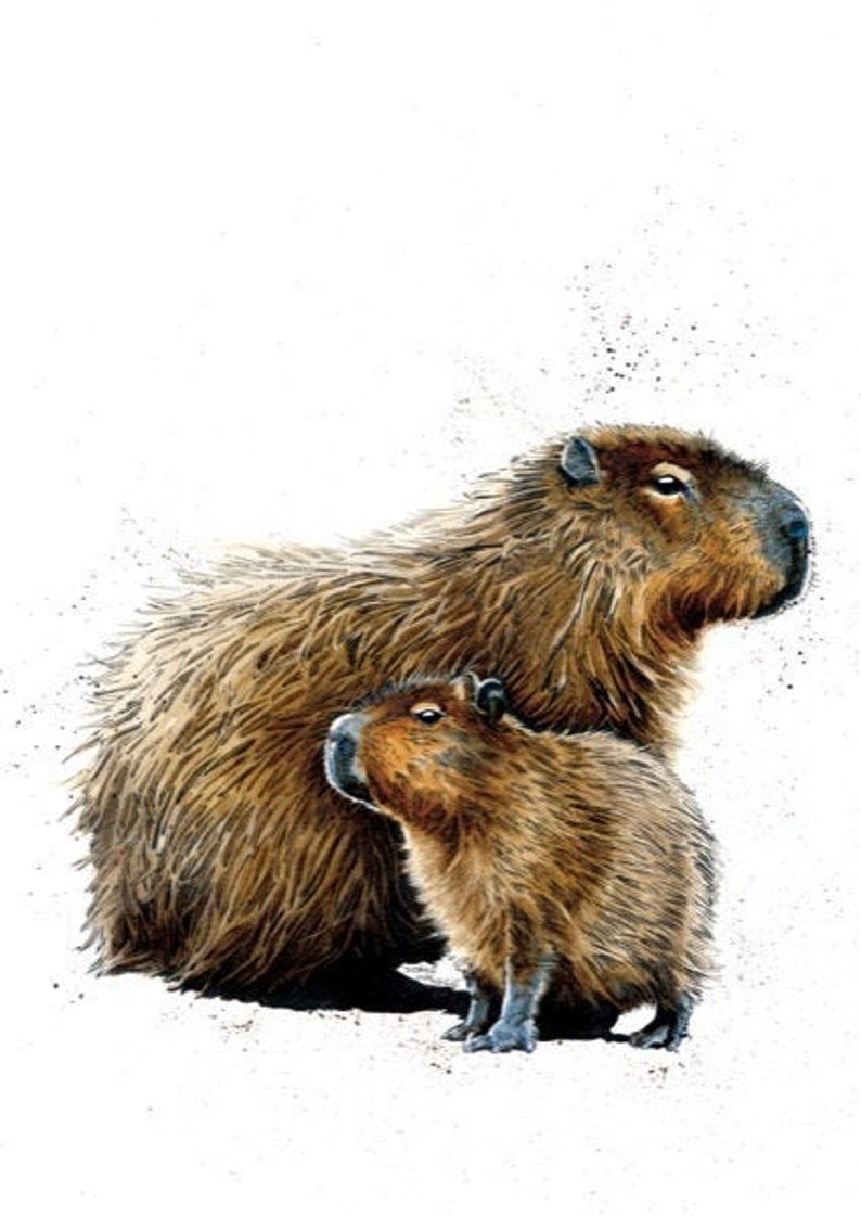 Capybara Art Card Cute Capybara Card Capybara Greetings | Etsy