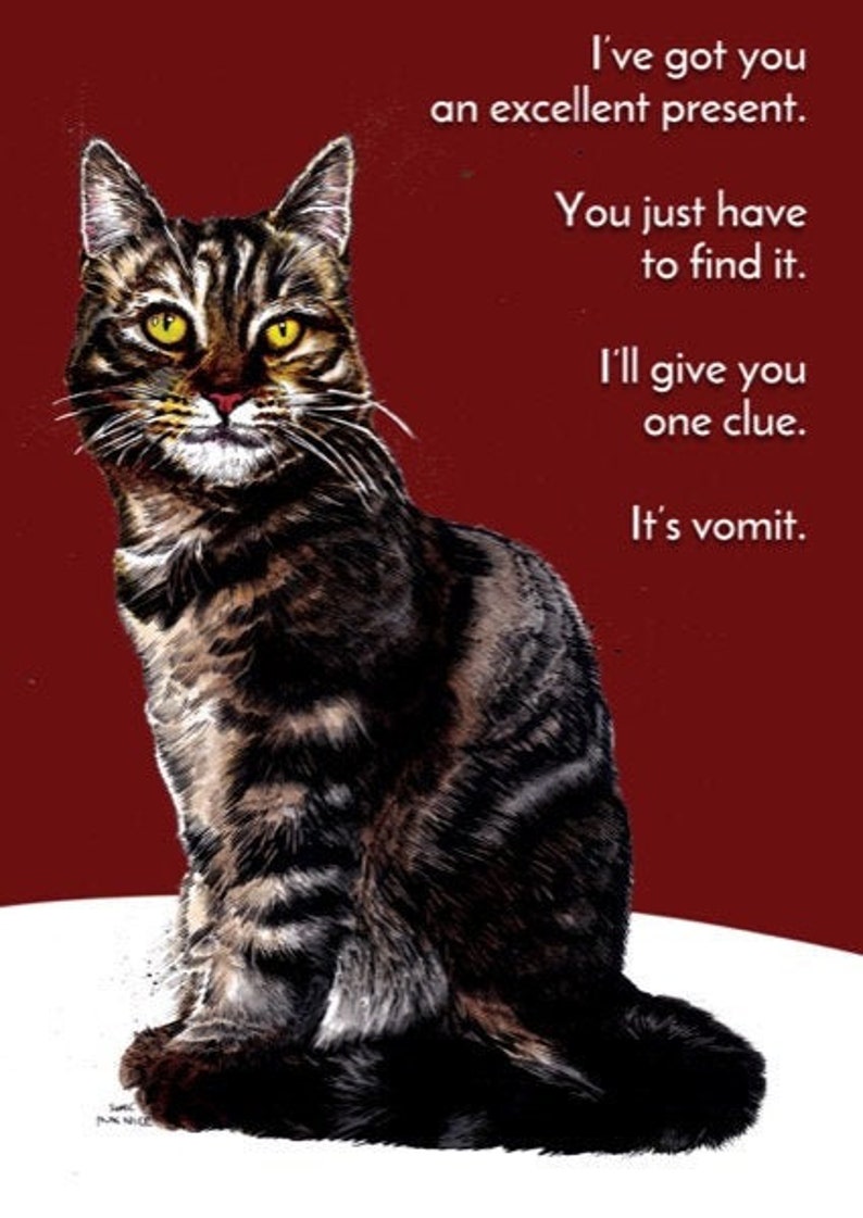 funny cat birthday card happy birthday cat sarcastic cat