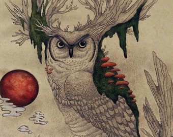 Stampa artistica di gufi, disegno di gufi, illustrazione di gufi, arte di gufi, decorazioni di gufi, arte murale di gufi, decorazioni di cottage, arte di uccelli, arte della natura, arte dei boschi, arte di uccelli