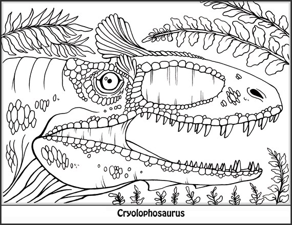 930+ Coloring Book Kids Best HD