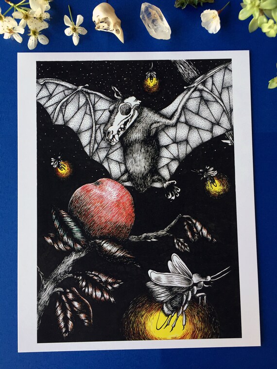 Nietoperz Art Print Pióro Nietoperza I Tuszu Sztuki Rysunek Owoców Nietoperza