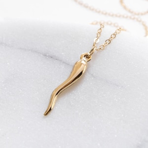 Italian Horn Necklace, Gold Filled, Cornicello Necklace, Cornetto, Italian Amulet, Evil Eye Necklace, Good Luck Charm, Gift for Her