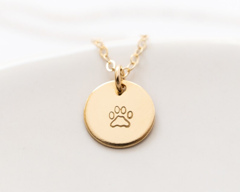 Gold filled version of the necklace - the disc comes on a dainty cable chain.