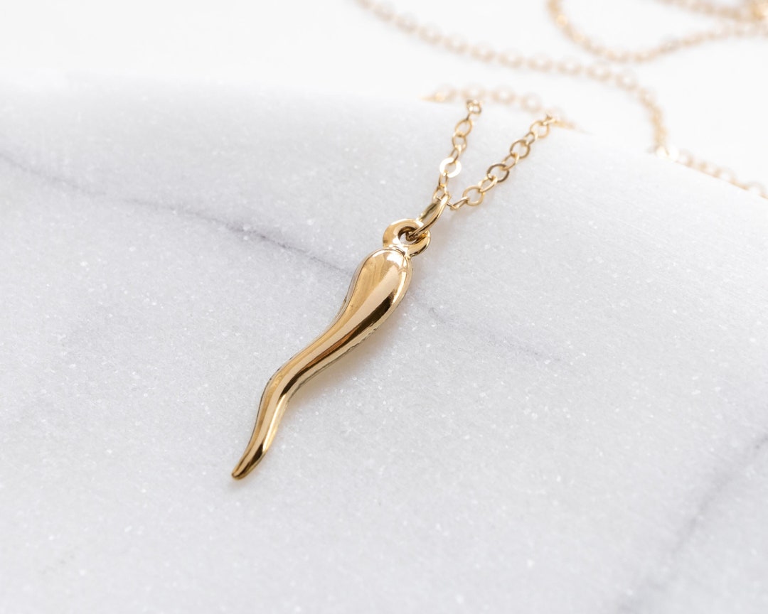 Italian Horn Necklace, Gold Filled, Cornicello Necklace,