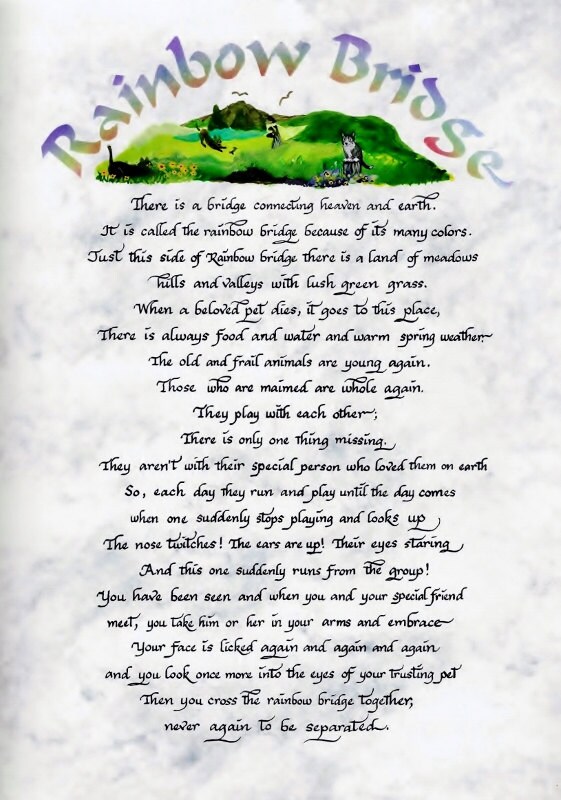 rainbow bridge pet poem personalized and framed for those who are