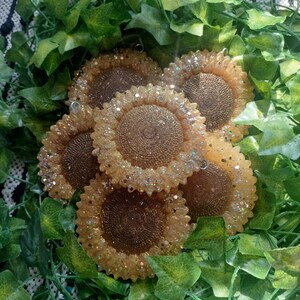 May include: Five gold glitter resin sunflower ornaments with a raised center and a textured surface.