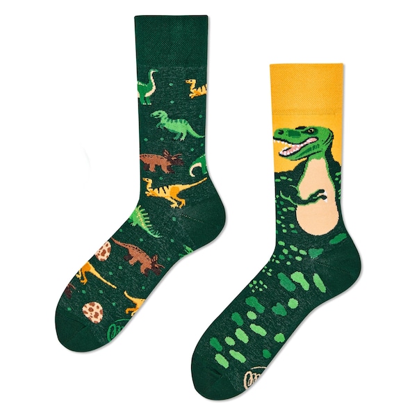 Dinosaur socks from MANY MORNINGS, women's socks, men's socks, mismatched socks, colorful socks, gift for women, gift for men