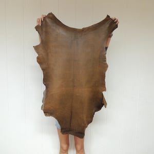 May include: A large, irregularly shaped piece of brown leather is held up against a white background. The leather has a textured surface and varying shades of brown, with darker areas along the edges. The material appears to be tanned and ready for use.