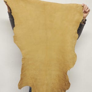 May include: A large, irregularly shaped piece of golden-tan leather hide with a smooth, matte finish. The material features natural edges and a consistent, warm yellow-brown color throughout the entire surface of the hide.