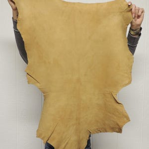 May include: A large, irregularly shaped piece of tan-colored leather hide with a smooth, matte finish. The hide features natural edges and a consistent light brown tone across its entire surface, displaying the organic texture of the material.