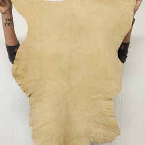 May include: A large, irregularly shaped piece of tan leather. The leather is held up, showing its natural edges and texture. The color is a warm, neutral tone, suitable for various crafting projects.