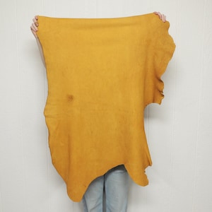 May include: A large, irregularly shaped piece of tanned leather in a warm, golden-yellow hue. The leather is held up against a white background, showcasing its natural texture and edges. The hide appears to be a single piece, with a few natural markings.