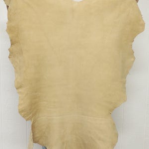 May include: A large, irregularly shaped piece of tan leather is held up against a white background. The leather has a soft, suede-like texture and a natural, organic appearance. The edges are uneven, suggesting it's a raw hide.