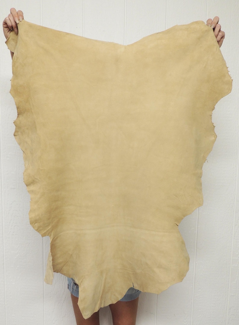 May include: A large, irregularly shaped piece of tan leather is held up against a white background. The leather has a soft, suede-like texture and a natural, organic appearance. The edges are uneven, suggesting it's a raw hide.