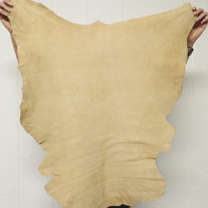 May include: A large, irregularly shaped piece of tan leather is held up against a white background. The leather has a soft, suede-like texture and a natural, organic shape. The edges are uneven, suggesting it is a hide.