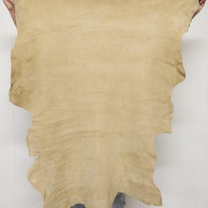 May include: A large, irregularly shaped piece of tan leather is held up against a white background. The leather has a soft, suede-like texture and a natural, organic appearance. The edges are uneven, showing the original shape of the hide.