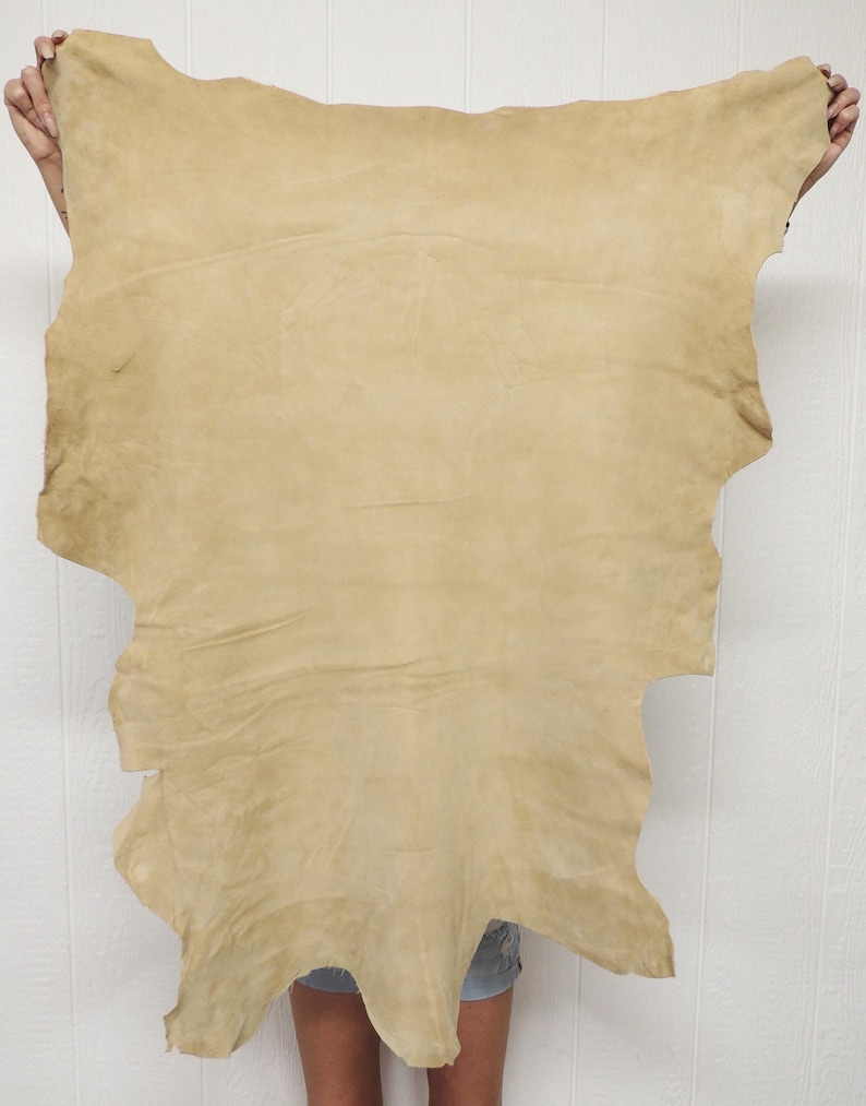 May include: A large, irregularly shaped piece of tan leather is held up against a white background. The leather has a soft, suede-like texture and a natural, organic appearance. The edges are uneven, showing the original shape of the hide.
