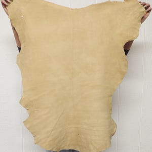 May include: A large, irregularly shaped piece of tan leather. The leather has a natural, uneven edge and a slightly textured surface. The hide is held up against a white background, showcasing its color and form. This leather is suitable for crafting.