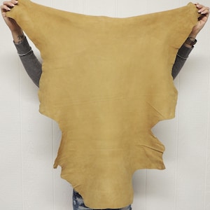 May include: A large, irregularly shaped piece of tan-colored leather hide with a smooth, matte finish. The material features natural variations in tone and texture across its surface, displaying a soft, flexible appearance throughout.