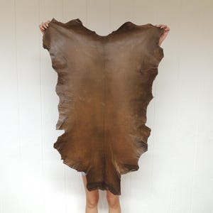 May include: A large, irregularly shaped piece of brown leather. The leather has a natural, organic appearance with a slightly rough texture and varying shades of brown. The edges are uneven, suggesting a raw, unfinished state. The leather is held up against a white background.