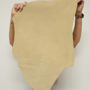 May include: A piece of tan-colored leather with a textured surface. The leather is held up by a person, showcasing its irregular shape and soft appearance. The background is a white wall.