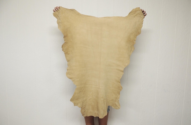 May include: A large, irregularly shaped piece of tanned leather, held up against a white wall. The leather is a light tan color with a slightly textured surface. The edges are uneven, giving it a natural, rustic appearance. The leather is being held up by a person.