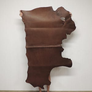 May include: A large, irregularly shaped piece of brown leather. The leather is held up against a white wall, showcasing its natural edges and rich color. The hide appears to be a single piece, with visible grain and texture.