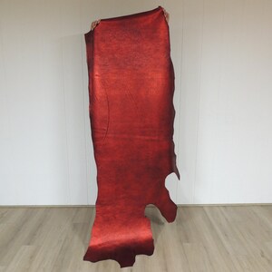 May include: A large piece of red leather is held up against a white wall. The leather has a textured surface and a deep, rich color. The edges of the leather are uneven, and there is a natural shape to the material.