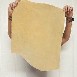 May include: A large piece of tan-colored suede leather is held up against a white background. The leather has a soft, textured surface and irregular edges. The person holding the leather is wearing a watch.