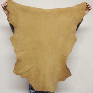 May include: A large, irregularly shaped piece of tan-colored suede leather with a soft, matte texture. The hide features natural variations in tone and a smooth, flexible surface, displaying the organic edges characteristic of raw animal skin.