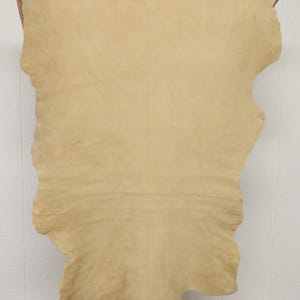 May include: A large, irregularly shaped piece of tan-colored leather. The leather is held up by two hands, showcasing its natural edges and texture. The background is a plain white wall.