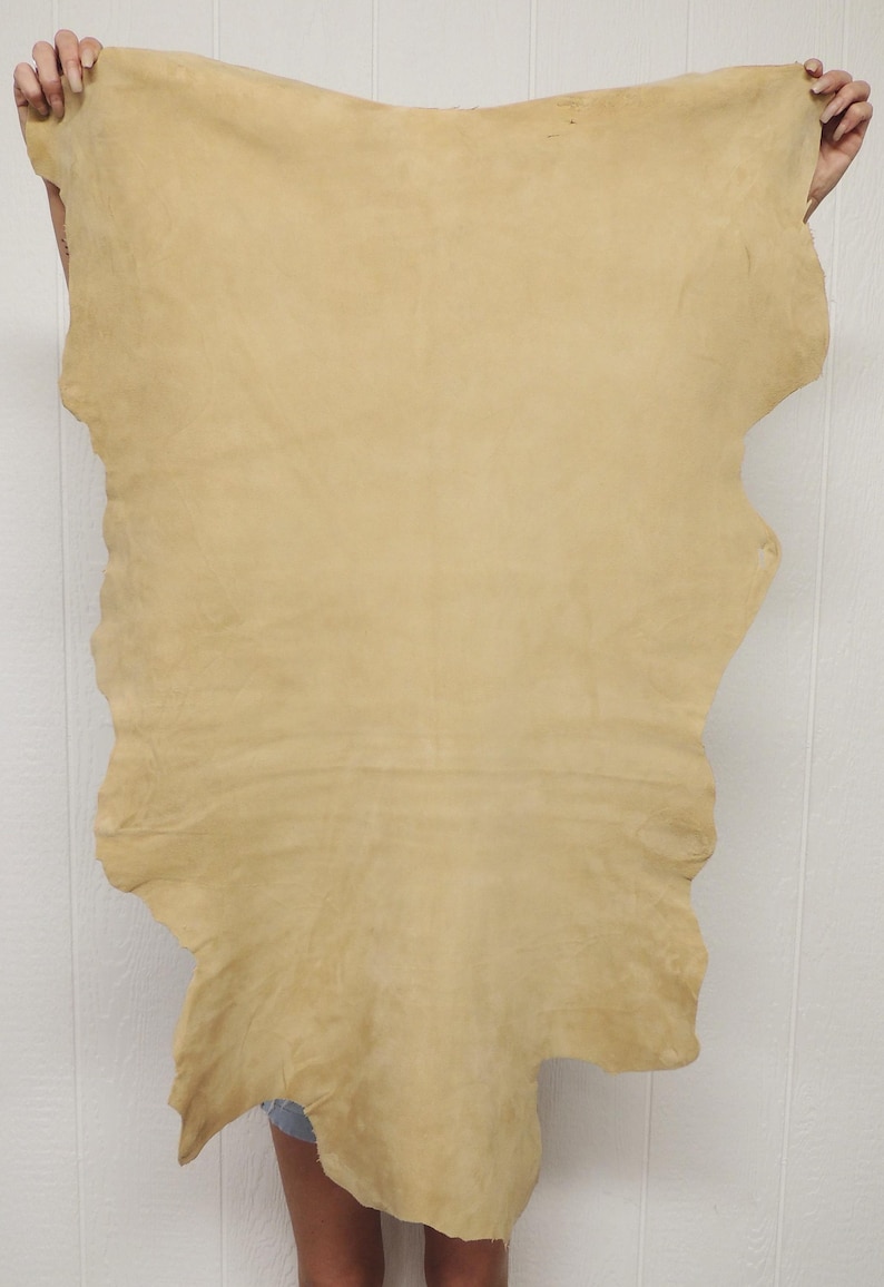May include: A large, irregularly shaped piece of tan-colored leather. The leather is held up by two hands, showcasing its natural edges and texture. The background is a plain white wall.