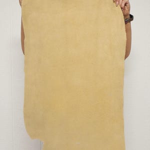 May include: A large, irregularly shaped piece of tan-colored leather. The leather has a soft, suede-like texture and is held up against a white wall. The edges of the leather are uneven, suggesting it is a natural cut.