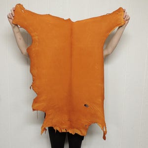 May include: A large, irregular piece of orange-colored leather hide with a smooth, matte finish. The hide features natural edges, a visible central spine line, and a small circular hole near the bottom right section of the material surface.
