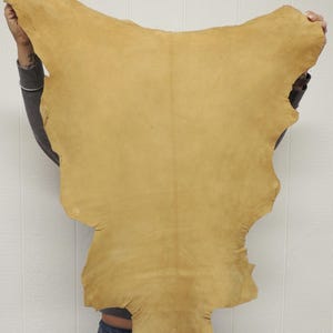 May include: A large, irregularly shaped piece of tan-colored leather hide with a smooth, matte surface. The hide features natural edges and a consistent light brown tone across its entire surface, displaying the organic texture of the material.