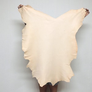 May include: A large, irregular piece of natural, undyed vegetable-tanned leather hide. The surface is a smooth, pale beige color with a matte finish. The edges of the hide are raw and uneven, following the natural shape of the animal skin, showcasing a clean, uniform texture across the entire expanse of the material.