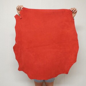 May include: A large, irregularly shaped piece of vibrant red suede leather. The material features a soft, matte texture across its entire surface, with natural, uneven edges characteristic of a raw hide, displayed in a flat, spread-out orientation.