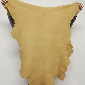 May include: A large, irregularly shaped piece of tan-colored leather hide with a smooth, matte finish. The material features natural edges and a consistent, warm golden-brown tone across its entire surface, displaying a soft, pliable texture.