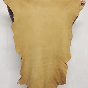 May include: A large, irregularly shaped piece of tan-colored leather hide with a smooth, matte finish. The hide features natural variations in tone and texture across its surface, with raw, uneven edges characteristic of a natural animal skin.