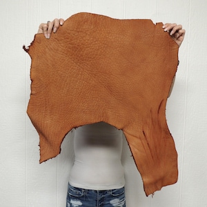 May include: A large, irregular piece of tan-colored leather with a visible grain texture. The hide features natural edges and a matte finish, displaying variations in tone across its surface, showcasing the organic shape of the material.
