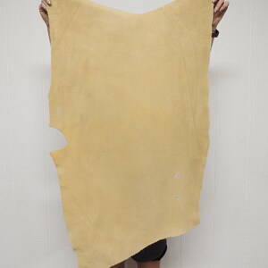 May include: A large, irregularly shaped piece of tan-colored leather is held up by two hands. The leather has a soft, suede-like texture and a few small imperfections. The edges are uneven, and there is a cutout on the left side.