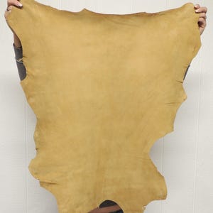 May include: A large, irregularly shaped piece of tan-colored leather hide with a smooth, matte surface. The material features natural variations in tone and texture across its surface, displaying an organic, raw edge profile throughout.